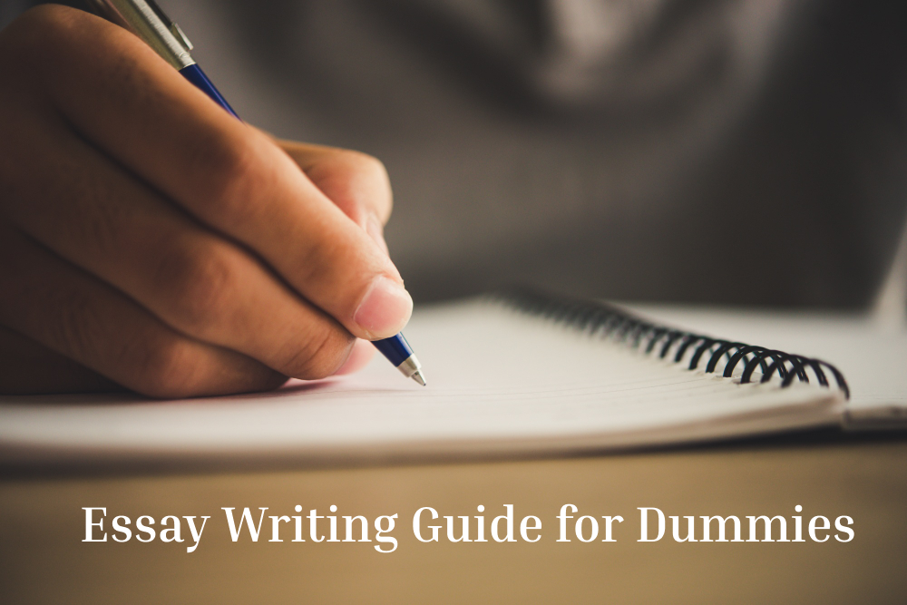 essay writing for dummies