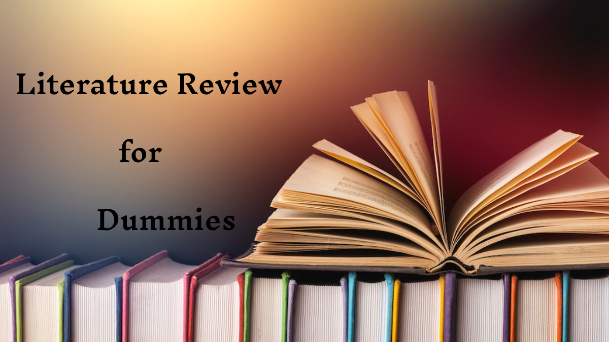literature review guide